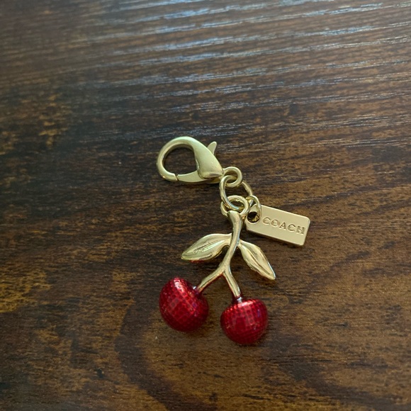 Coach purse charm, keychain or zipper pull, comes with Authentic Coach Dust Bag - Picture 3 of 8
